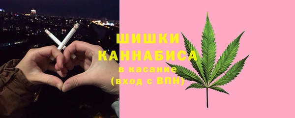 СК Александровское