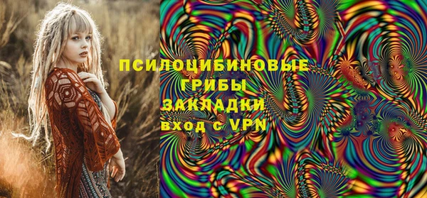 гашик Алзамай