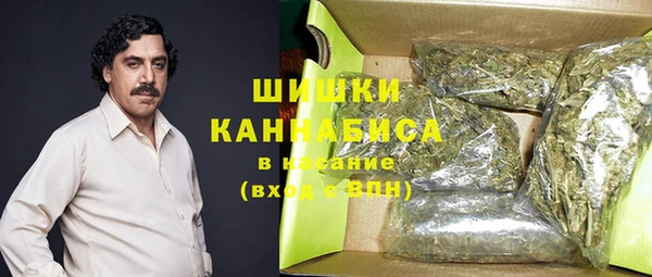 стафф Новодвинск