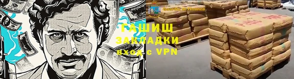 стафф Новодвинск