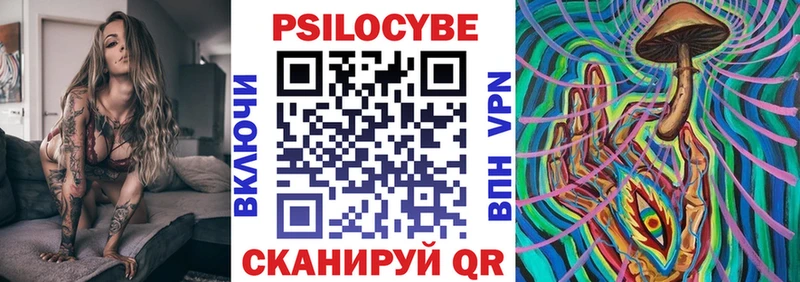 хочу Торжок Галлюциногенные грибы Psilocybe